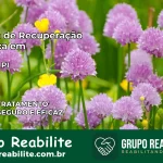 Clínica de Recuperação Católica em Uruçuí | Internação 24h
