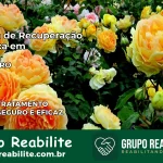 Clínica de Recuperação Católica em Urupá | Internação 24h