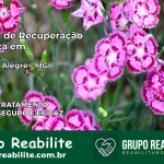 Clínica de Recuperação Católica em Vargem Alegre | Internação 24h