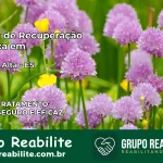 Clínica de Recuperação Católica em Vargem Alta | Internação 24h