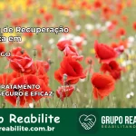 Clínica de Recuperação Católica em Varjão | Internação 24h
