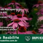 Clínica de Recuperação Católica em Várzea Grande | Internação 24h