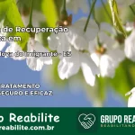 Clínica de Recuperação Católica em Venda Nova do Imigrante | Internação 24h