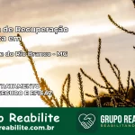 Clínica de Recuperação Católica em Visconde do Rio Branco | Internação 24h