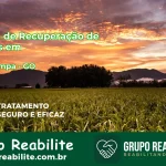 🚨 Clínica de Recuperação de Drogas em Água Limpa - GO