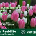 🚨 Clínica de Recuperação de Drogas em Águas Frias - SC
