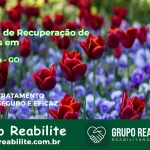 🚨 Clínica de Recuperação de Drogas em Alexânia - GO