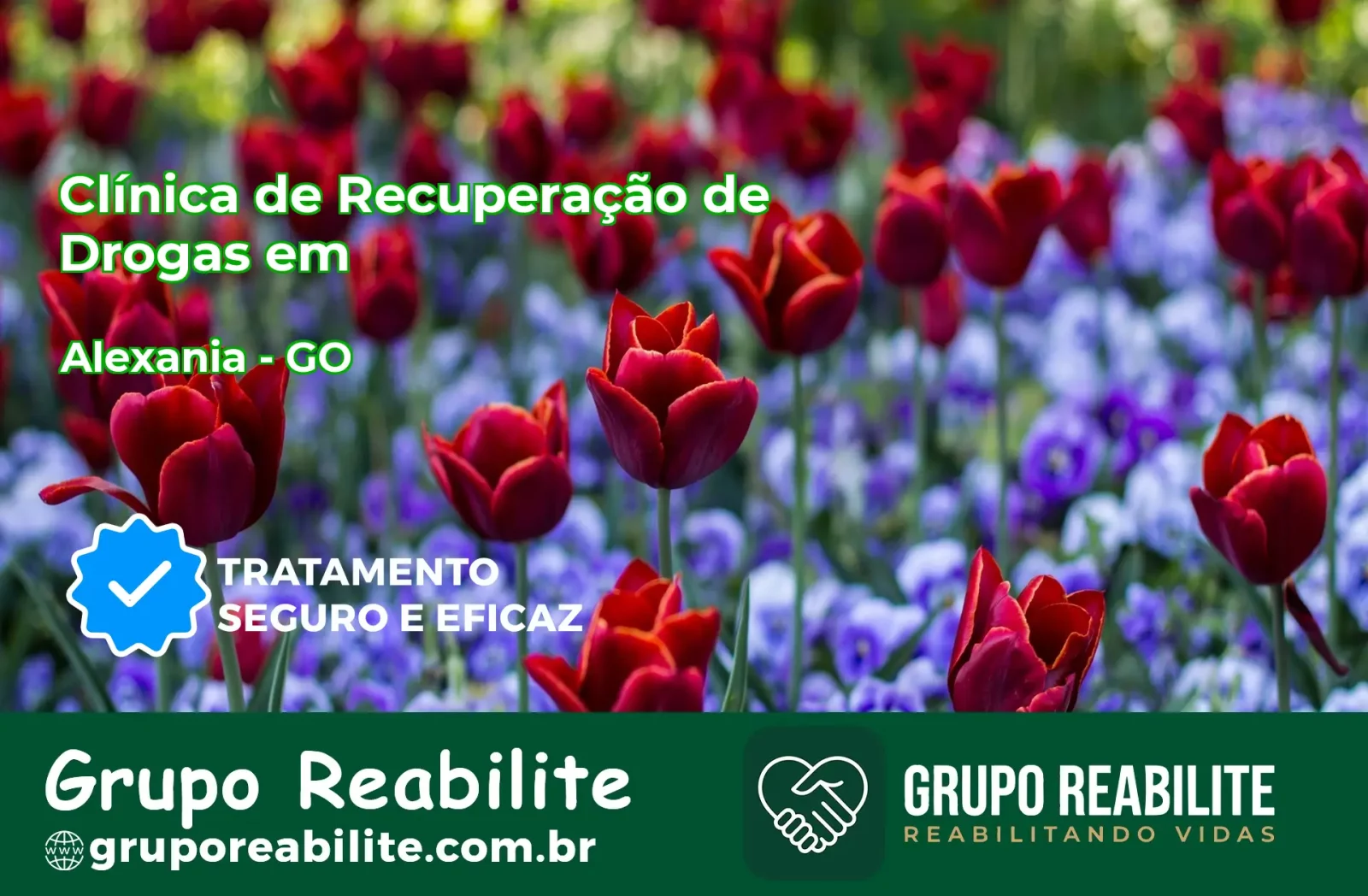 🚨 Clínica de Recuperação de Drogas em Alexânia - GO