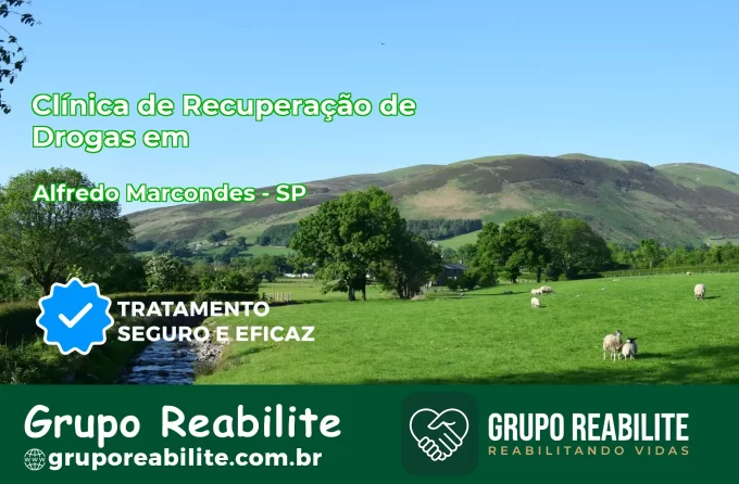 🚨 Clínica de Recuperação de Drogas em Alfredo Marcondes - SP