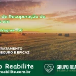 🚨 Clínica de Recuperação de Drogas em Alfredo Wagner - SC