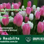 🚨 Clínica de Recuperação de Drogas em Alto Jequitibá - MG