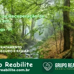 🚨 Clínica de Recuperação de Drogas em Alto Longá - PI