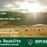 🚨 Clínica de Recuperação de Drogas em Alto Paraíso de Goiás - GO