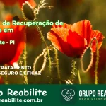 🚨 Clínica de Recuperação de Drogas em Amarante - PI