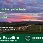 🚨 Clínica de Recuperação de Drogas em Andradas - MG