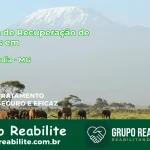 🚨 Clínica de Recuperação de Drogas em Angelândia - MG
