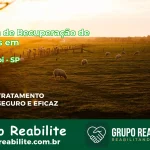 🚨 Clínica de Recuperação de Drogas em Anhembi - SP