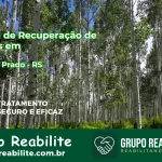 🚨 Clínica de Recuperação de Drogas em Antônio Prado - RS