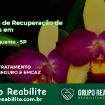 🚨 Clínica de Recuperação de Drogas em Araçariguama - SP