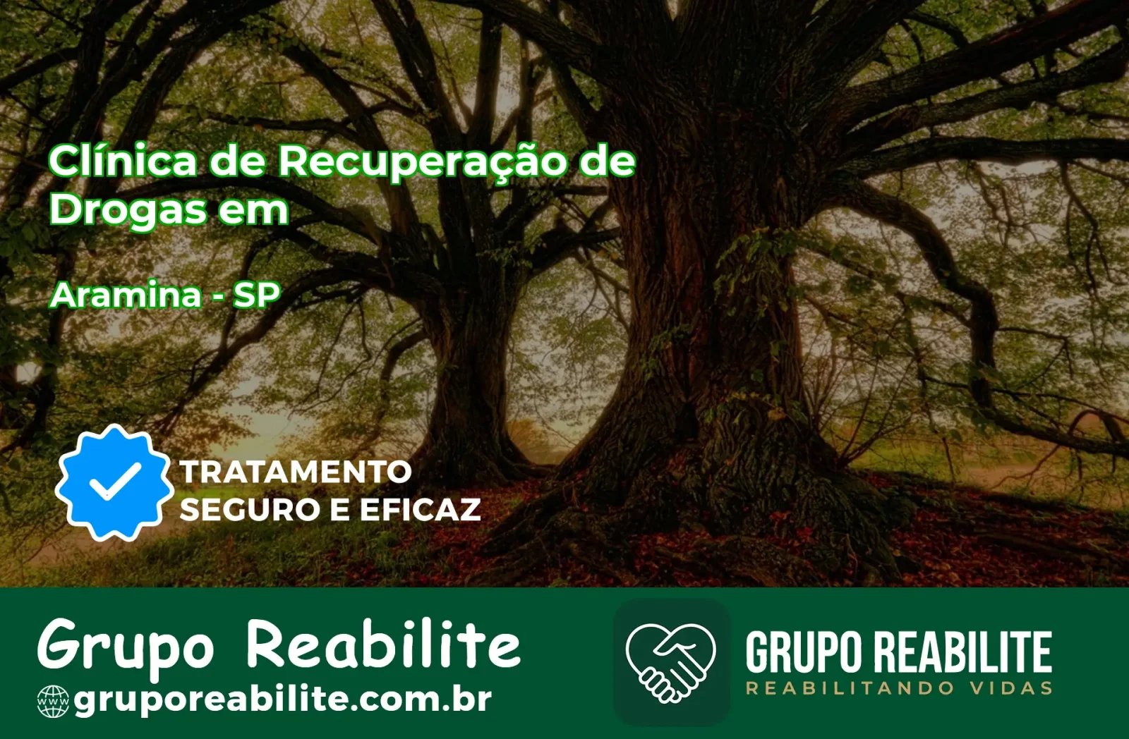 🚨 Clínica de Recuperação de Drogas em Aramina - SP