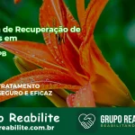🚨 Clínica de Recuperação de Drogas em Arara - PB