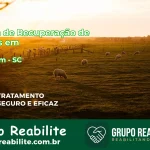 🚨 Clínica de Recuperação de Drogas em Armazém - SC