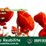 🚨 Clínica de Recuperação de Drogas em Aspásia - SP