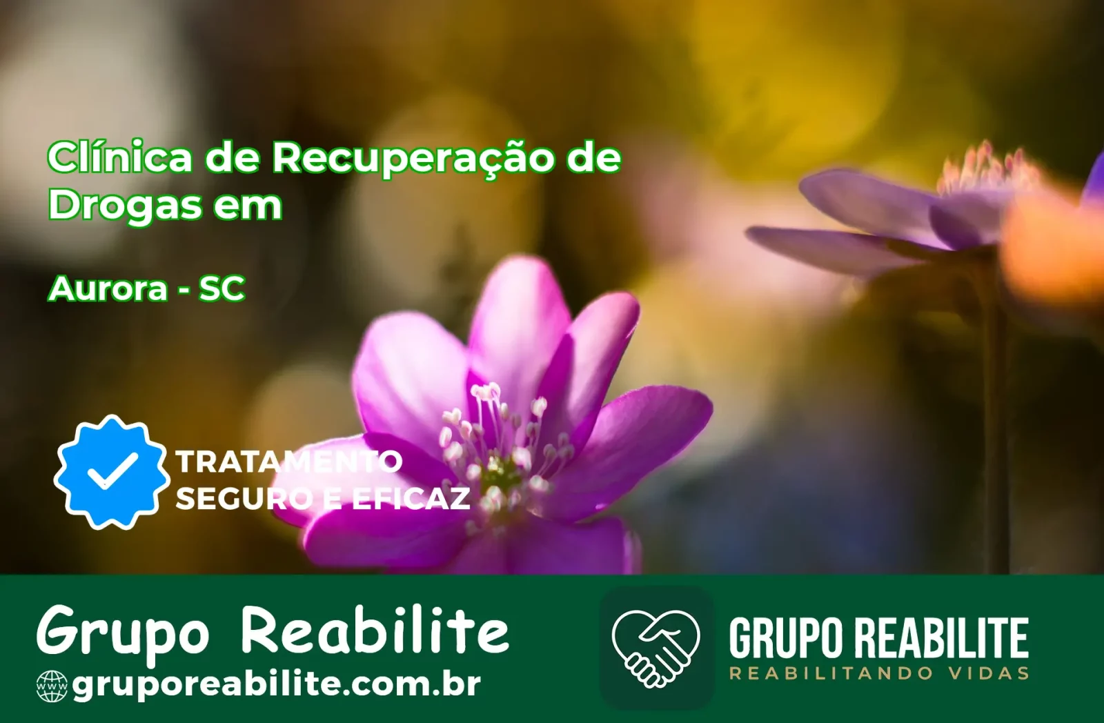 🚨 Clínica de Recuperação de Drogas em Aurora - SC
