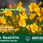 🚨 Clínica de Recuperação de Drogas em Batalha - AL