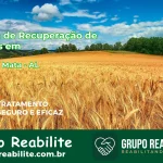 🚨 Clínica de Recuperação de Drogas em Boca da Mata - AL
