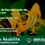 🚨 Clínica de Recuperação de Drogas em Bom Sucesso do Sul - PR