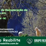 🚨 Clínica de Recuperação de Drogas em Botuverá - SC