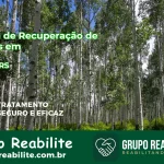 🚨 Clínica de Recuperação de Drogas em Braga - RS