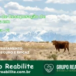 🚨 Clínica de Recuperação de Drogas em Brasileira - PI