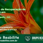 🚨 Clínica de Recuperação de Drogas em Buritinópolis - GO