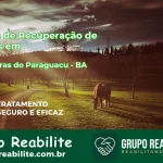 🚨 Clínica de Recuperação de Drogas em Cabaceiras do Paraguaçu - BA