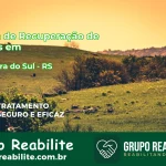 🚨 Clínica de Recuperação de Drogas em Cachoeira do Sul - RS