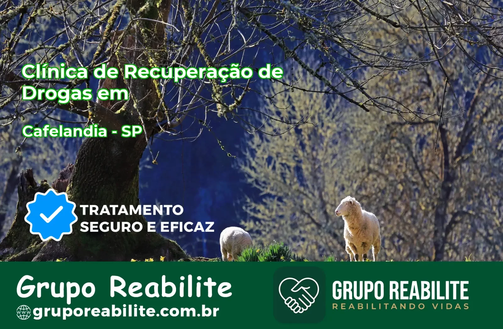 🚨 Clínica de Recuperação de Drogas em Cafelândia - SP