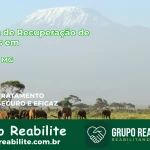 🚨 Clínica de Recuperação de Drogas em Caldas - MG