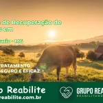 🚨 Clínica de Recuperação de Drogas em Campanário - MG