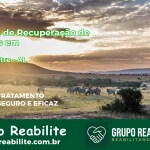 🚨 Clínica de Recuperação de Drogas em Campestre - AL