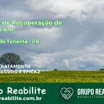 🚨 Clínica de Recuperação de Drogas em Campo do Tenente - PR