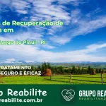 🚨 Clínica de Recuperação de Drogas em Campo Largo do Piauí - PI