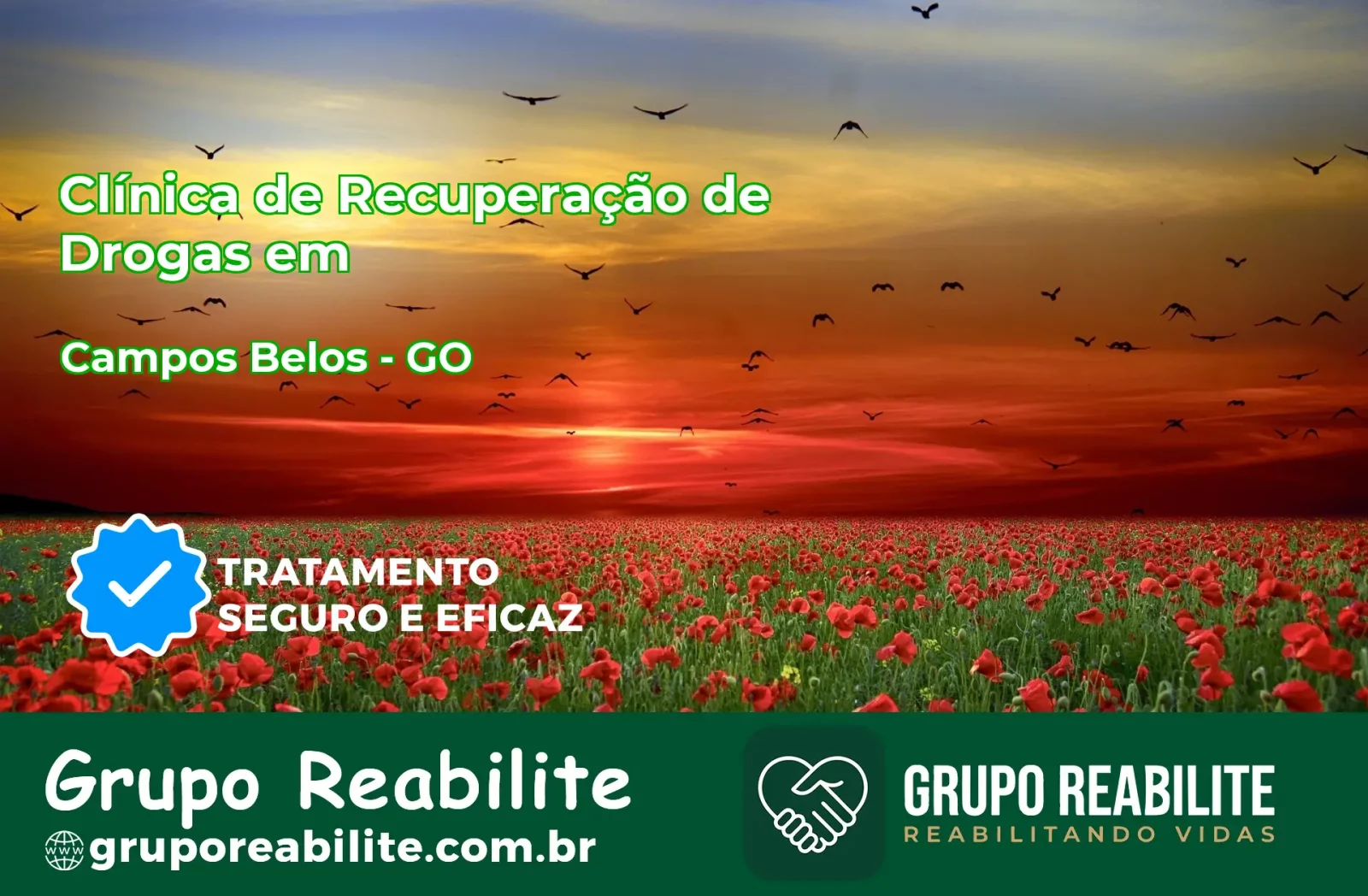 🚨 Clínica de Recuperação de Drogas em Campos Belos - GO