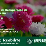 🚨 Clínica de Recuperação de Drogas em Canapi - AL