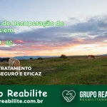 🚨 Clínica de Recuperação de Drogas em Capinzal - SC