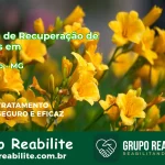 🚨 Clínica de Recuperação de Drogas em Capitólio - MG