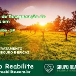 🚨 Clínica de Recuperação de Drogas em Carapicuíba - SP