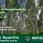 🚨 Clínica de Recuperação de Drogas em Carazinho - RS