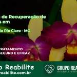 🚨 Clínica de Recuperação de Drogas em Carmo do Rio Claro - MG